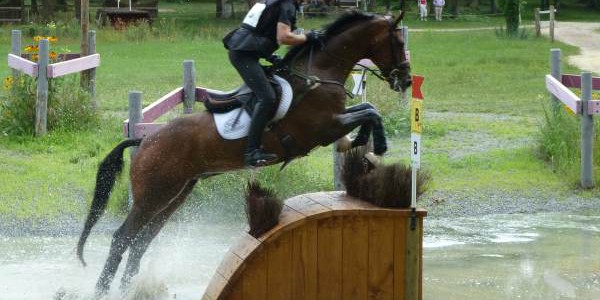 Grand national 2015 concours complet