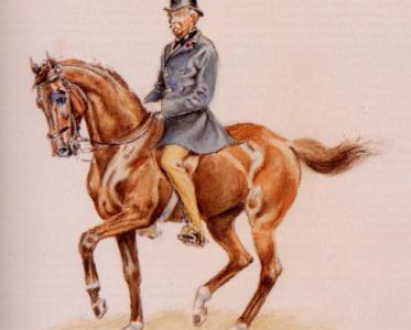 capitaine-raabe