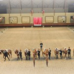 Spectacle du Cadre noir : Présentations publiques